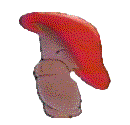 The Incredible Dancing Mushroom